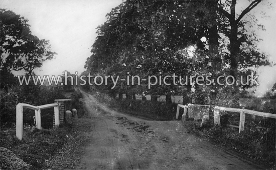 Dunton Road, Laindon, Essex. c.1912
